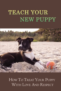 Teach Your New Puppy