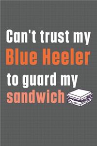 Can't trust my Blue Heeler to guard my sandwich