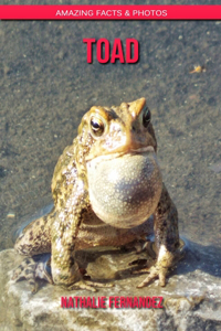 Toad