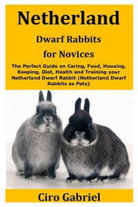 Netherland Dwarf Rabbits for Novices