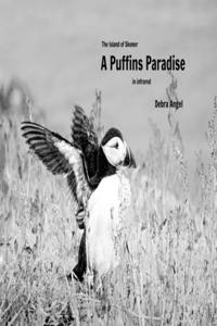 Puffins Paradise
