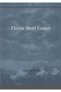 Eleven Short Essays
