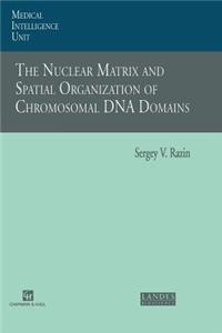 Nuclear Matrix and Spatial Organization of Chromosomal DNA Domains