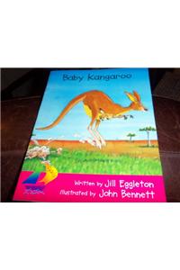 Baby Kangaroo