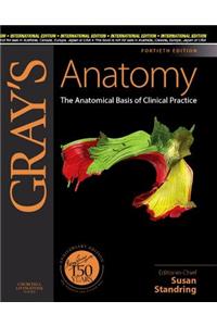 Gray'S Anatomy: The Anatomical Basis Of Clinical Practice
