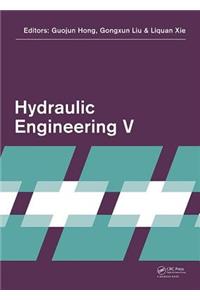 Hydraulic Engineering V
