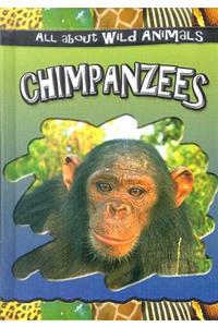 Chimpanzees