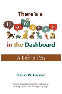There's a Hamster in the Dashboard