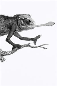 Notizbuch für Kreative