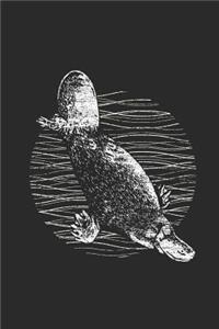 Platypus Drawing