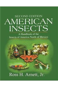 American Insects