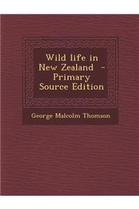 Wild Life in New Zealand