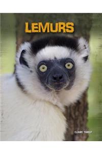 Living in the Wild Primates Lemurs