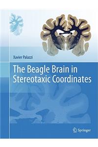 Beagle Brain in Stereotaxic Coordinates