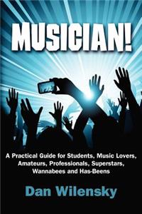 MUSICIAN! A Practical Guide for Students, Music Lovers, Amateurs, Professionals, Superstars, Wannabees and Has-Beens