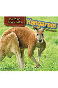 Kangaroos