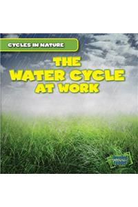 The Water Cycle at Work