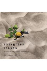 Evergreen Leaves