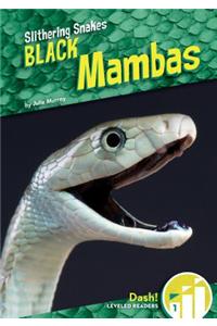 Black Mambas