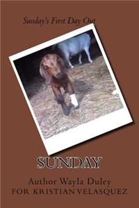 Sunday