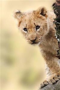 Aww, Look at the Little Lion Cub Journal