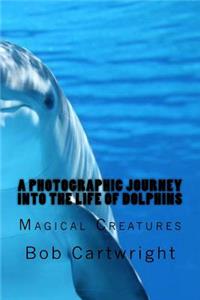 A Photographic Journey into the Life of Dolphins