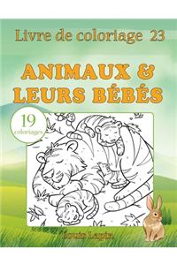 Livre de coloriage animaux & leurs bébés