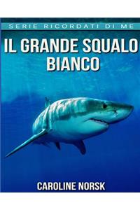Il grande squalo bianco
