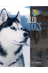 Sled Dogs