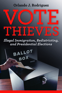 Vote Thieves