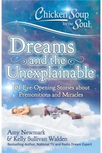 Chicken Soup for the Soul: Dreams and the Unexplainable