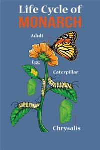 Life Cycle Of Monarch