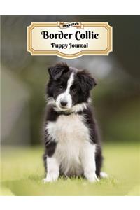 2020 Border Collie Puppy Journal