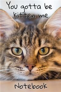 You Gotta Be Kitten Me Notebook