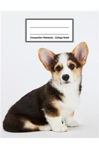 Composition Notebook - College Ruled