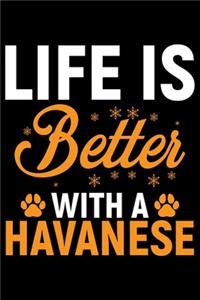 Life Is Better With A Havanese