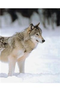 Winter Theme School Composition Book Pretty Wolves 130 Pages