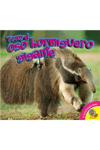 Oso Hormiguero Gigante