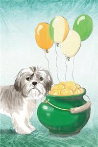 Shih Tzu