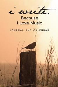 I Write Because I Love Music