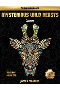 Coloring (Mysterious Wild Beasts)