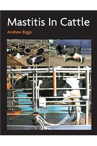 Mastitis In Cattle