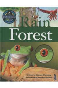Rain Forest