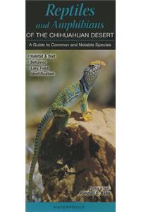 Reptiles and Amphibians of the Chihuahuan Desert