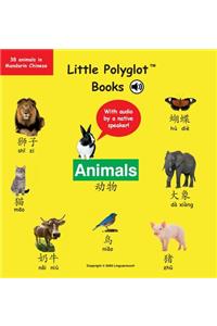 Animals
