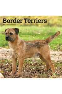 Border Terriers 2021 Square Btuk