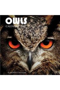 Owls Calendar 2018