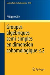 Groupes Algébriques Semi-Simples En Dimension Cohomologique