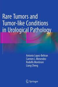 Rare Tumors and Tumor-Like Conditions in Urological Pathology