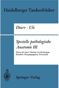 Spezielle Pathologische Anatomie III